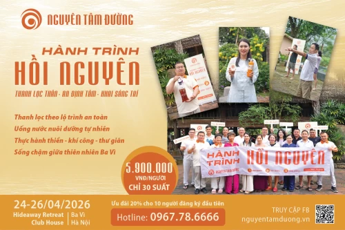 Đăng ký tham gia Hành Trình Hồi Nguyên Ba Vì 24–26/4/2026: 3 ngày trở về với sức khỏe nguyên bản