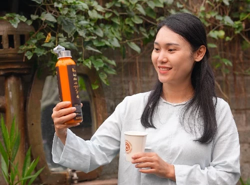 Đông Nam Dược trong điều hòa chính khí và thanh lọc nội môi